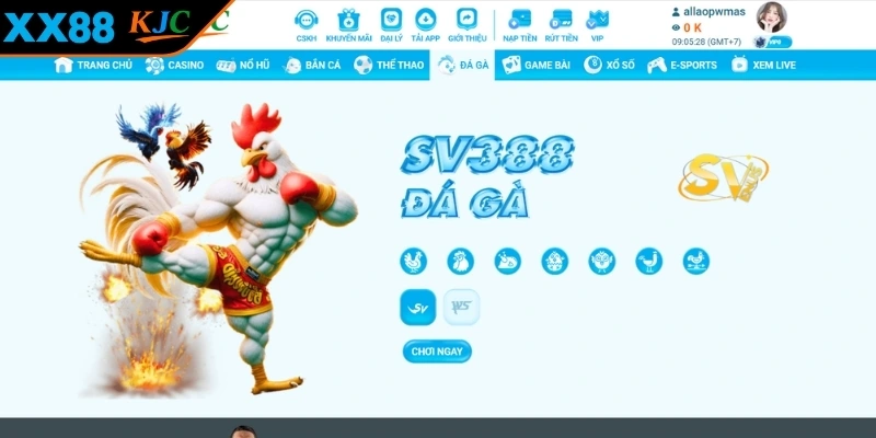 Tổng quan về hình thức đá gà XX88